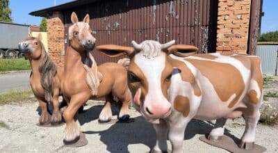 Wyposażenie i tematyzacja : Kolejka Farm Train w Parku Rozrywki Noe Park