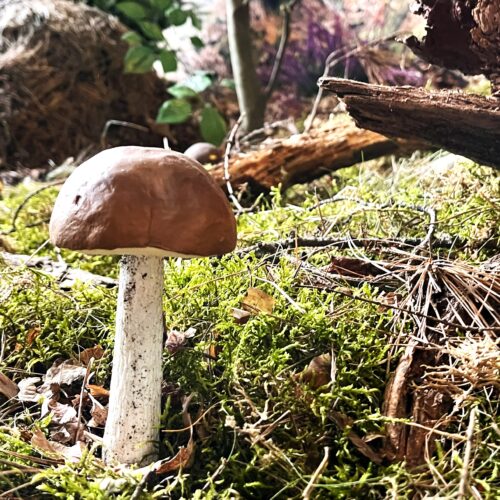 Diorama przyrodnicza -las świerkowy